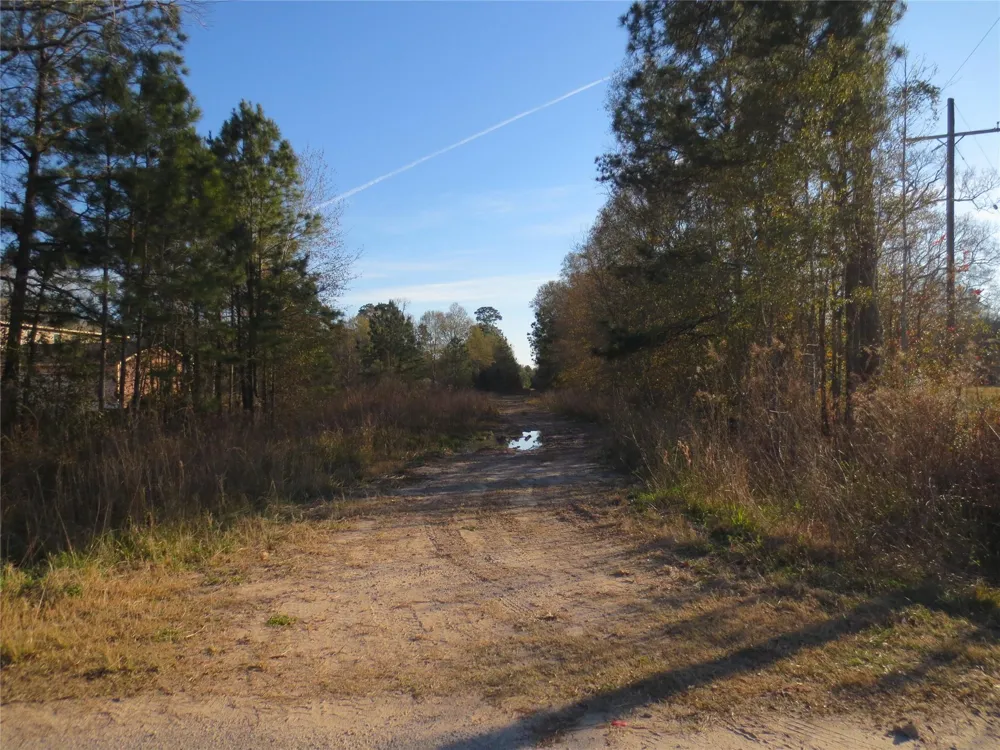 12 Acres Off W Relza Rd Splendora, TX 77372