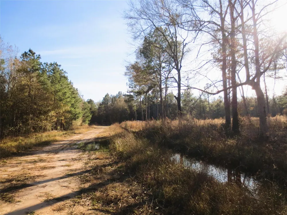 12 Acres Off W Relza Rd Splendora, TX 77372