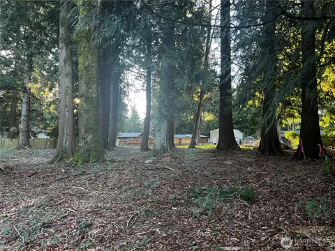 0 XXX Forest View Drive