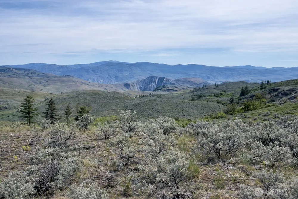 4 TBD Ellemeham Mountain Road Oroville, WA 98844