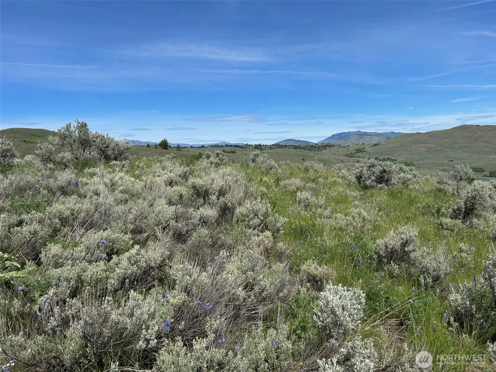 4 TBD Ellemeham Mountain Road Oroville, WA 98844