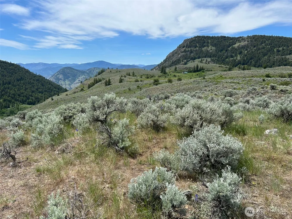 4 TBD Ellemeham Mountain Road Oroville, WA 98844