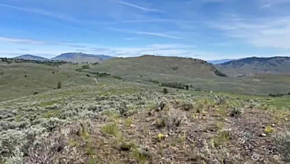 4 TBD Ellemeham Mountain Road Oroville, WA 98844