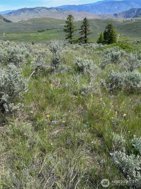 3 TBD Ellemeham Mountain Road