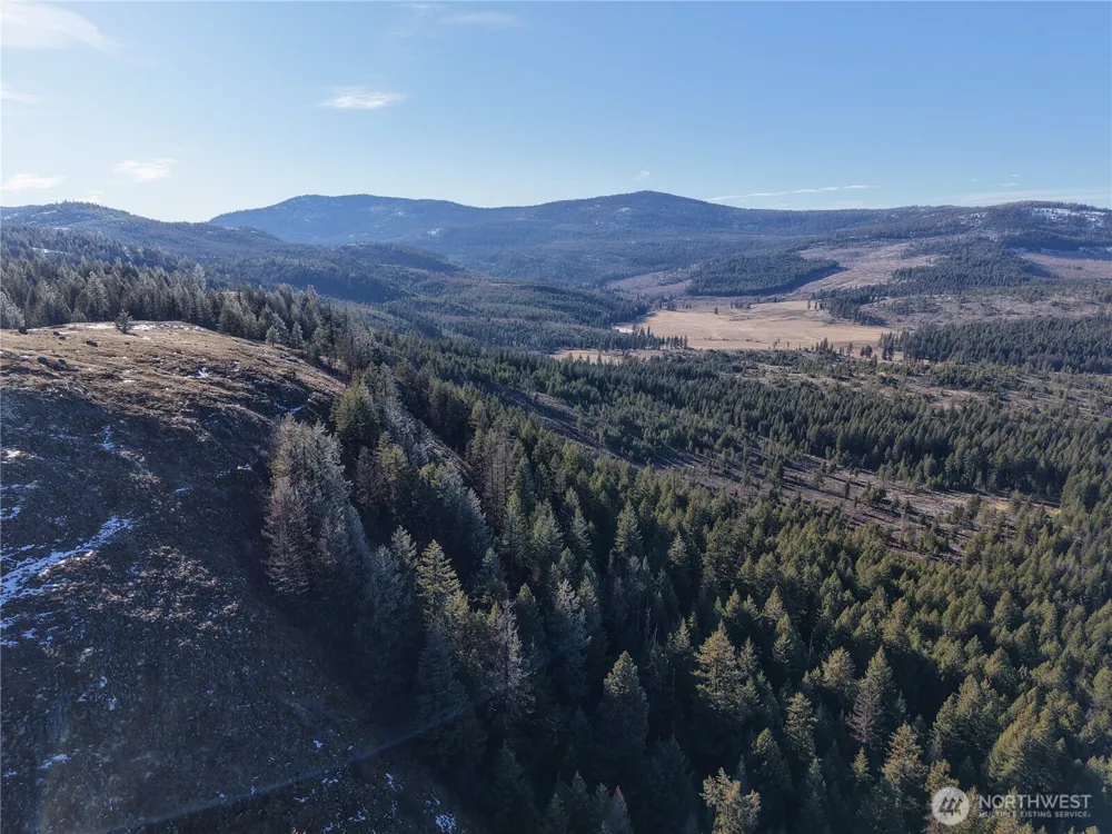 9999 TBD Lundimo Meadows Road Curlew, WA 99118