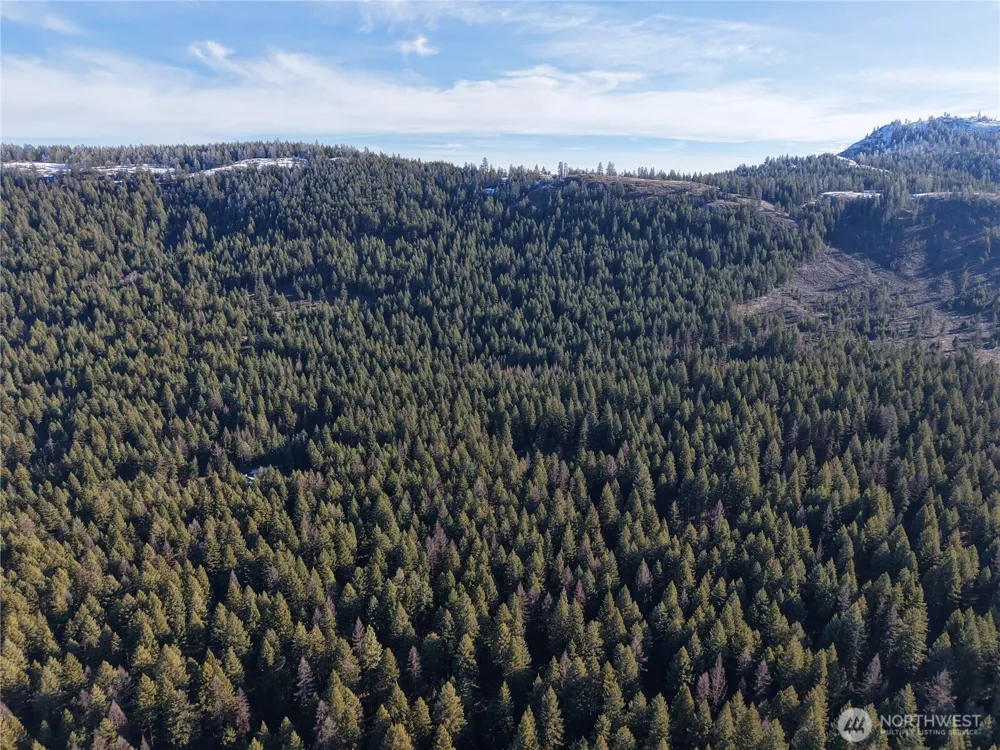9999 TBD Lundimo Meadows Road Curlew, WA 99118