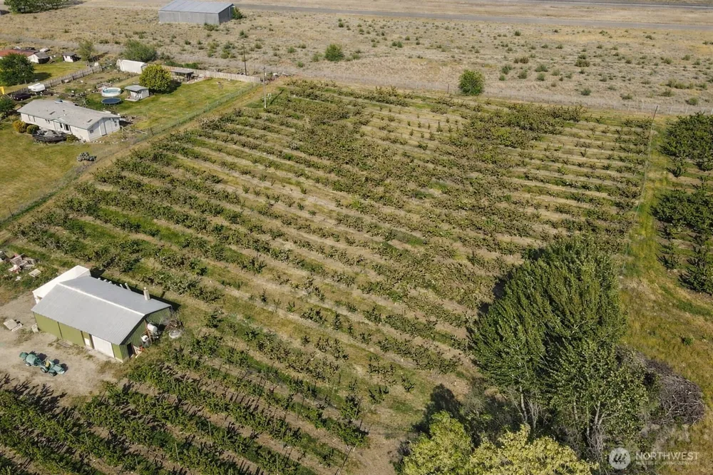 82 TBD Eastlake Road Oroville, WA 98844