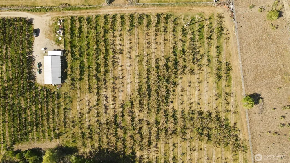 82 TBD Eastlake Road Oroville, WA 98844