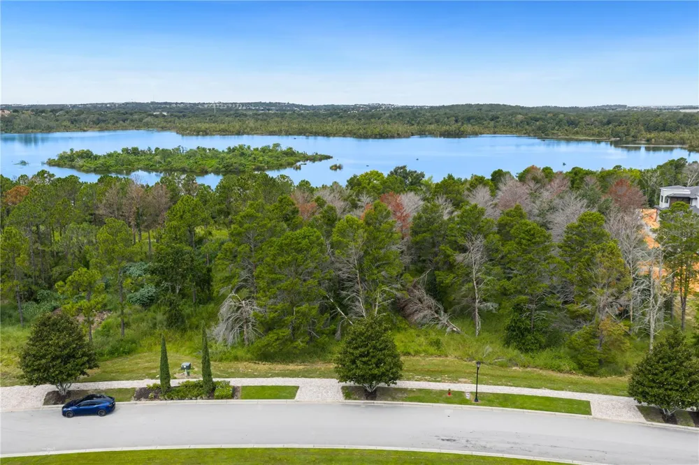 16409 PENDIO DRIVE Montverde, FL 34756