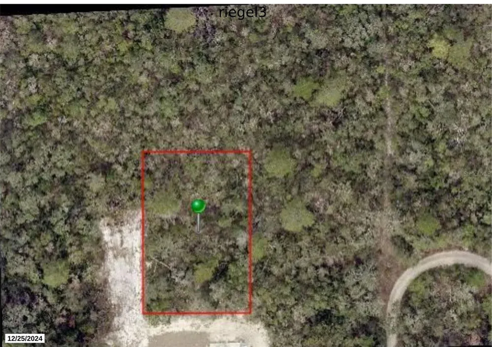 RIEGEL (PAPER) AVENUE Orange City, FL 32763