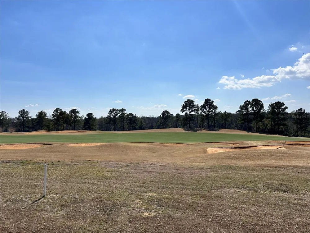 16222 VETTA DRIVE Montverde, FL 34756