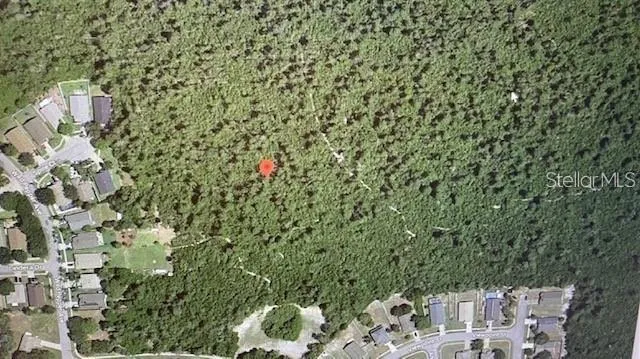 MORGAN PAPER ST Deltona, FL 32725