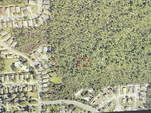 MORGAN PAPER ST Deltona, FL 32725