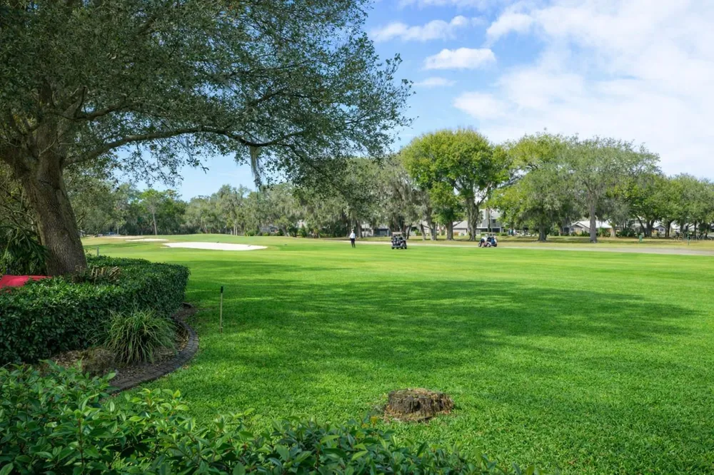 3311 OAK VISTA DRIVE Port Orange, FL 32128