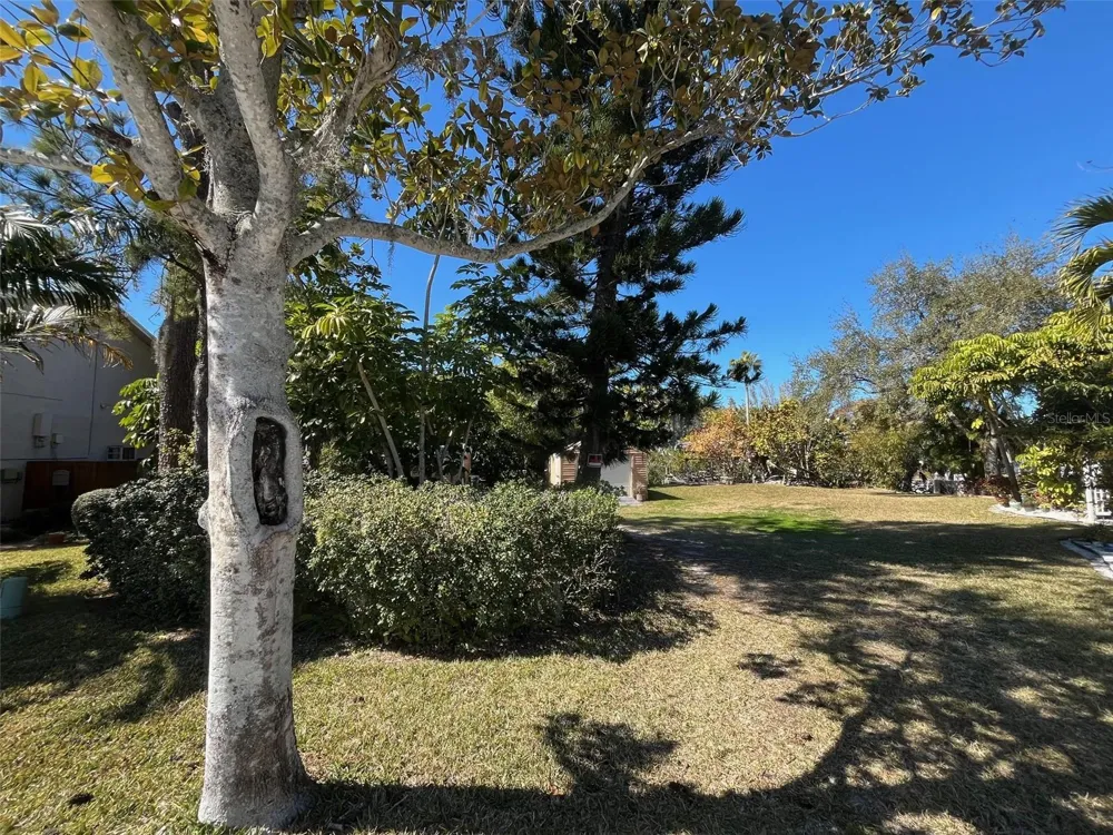 Lot 96 BLUE JAY CIRCLE Palm Harbor, FL 34683