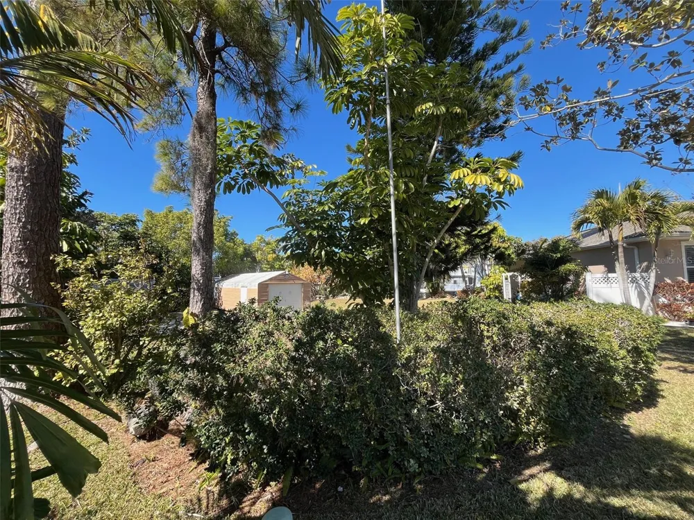 Lot 96 BLUE JAY CIRCLE Palm Harbor, FL 34683