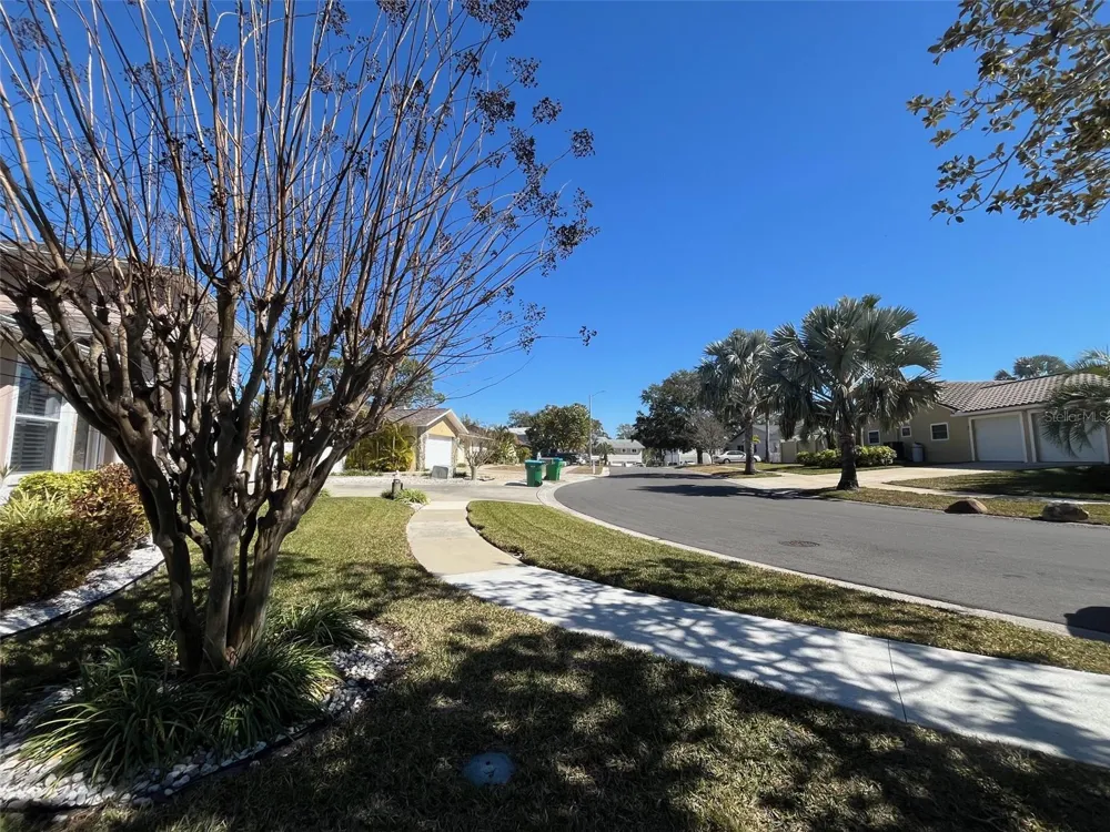 Lot 96 BLUE JAY CIRCLE Palm Harbor, FL 34683