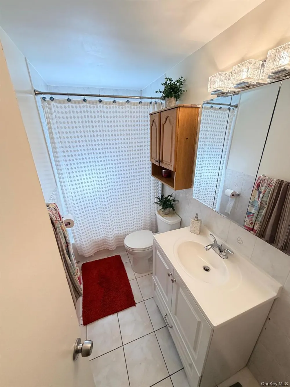 9726 133rd Street Richmond Hill S., NY 11419