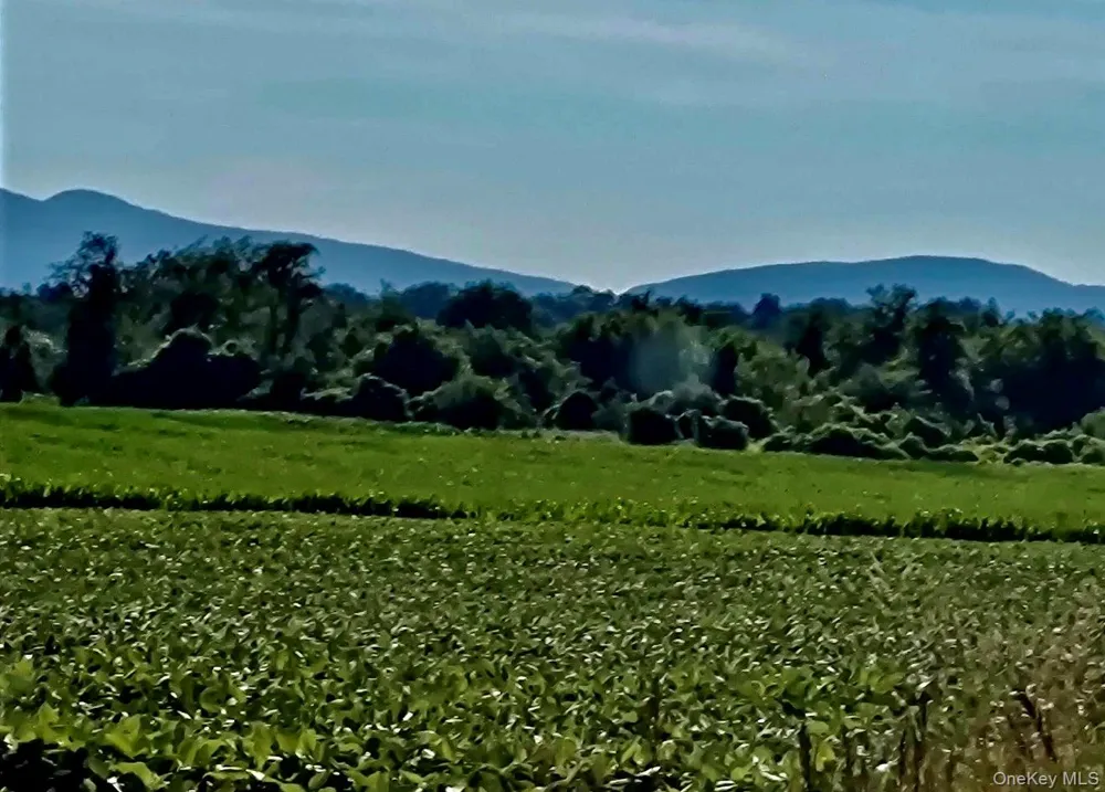 Orchard Hudson, NY 12541