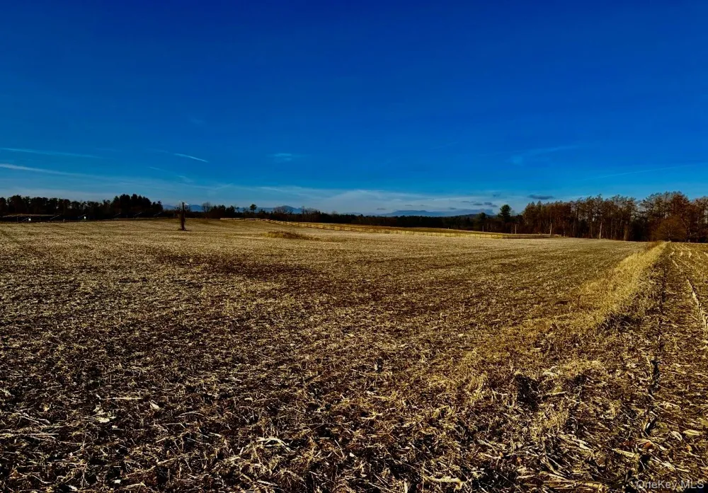 Orchard Hudson, NY 12541
