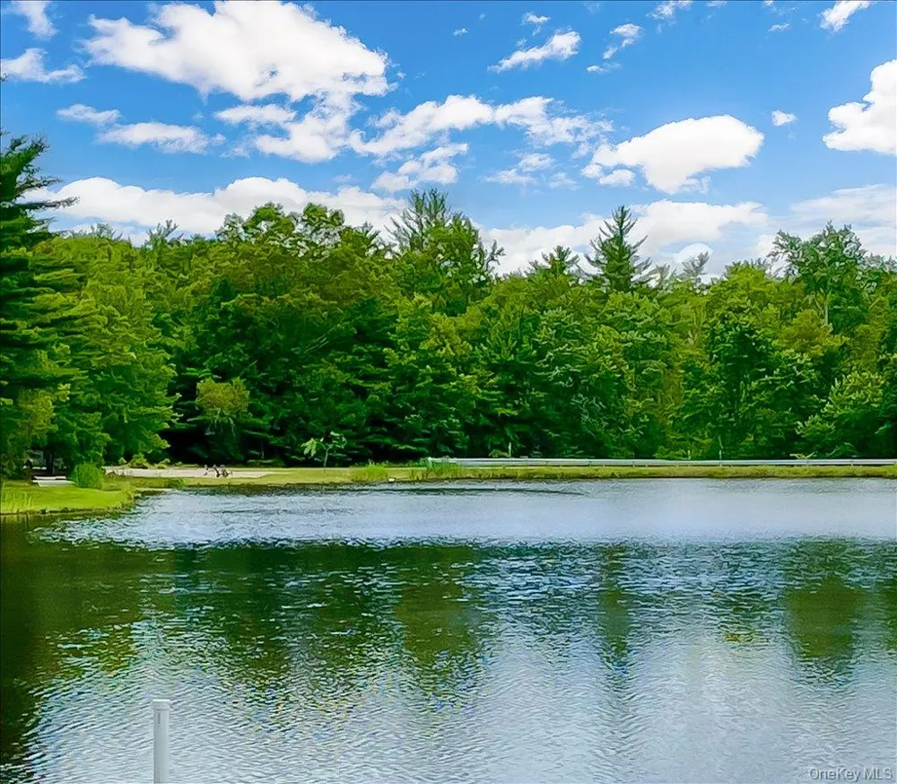 50 Meghan Court Pine Bush, NY 12566