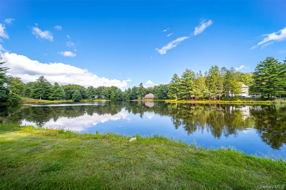 50 Meghan Court Pine Bush, NY 12566
