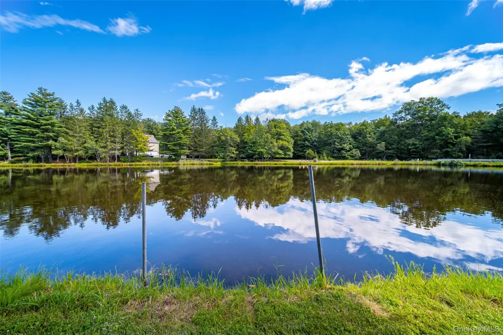 50 Meghan Court Pine Bush, NY 12566