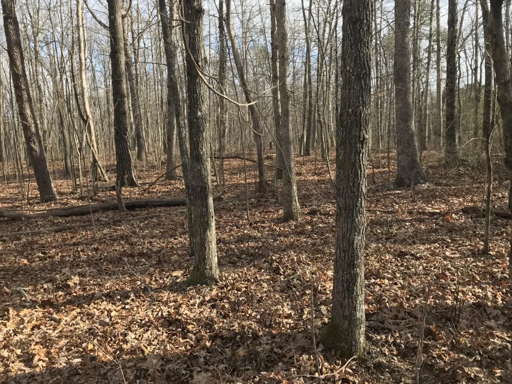 0 Greenfields Way N Dunlap, TN 37327
