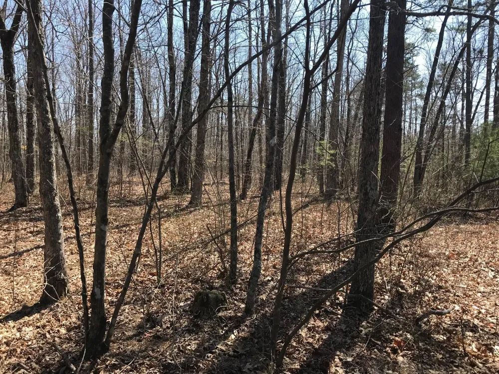 0 Greenfields Way N Dunlap, TN 37327