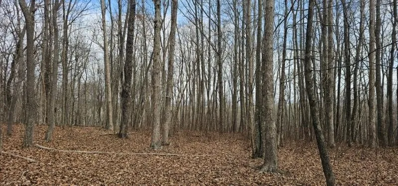 0 Greenfields Way N Dunlap, TN 37327