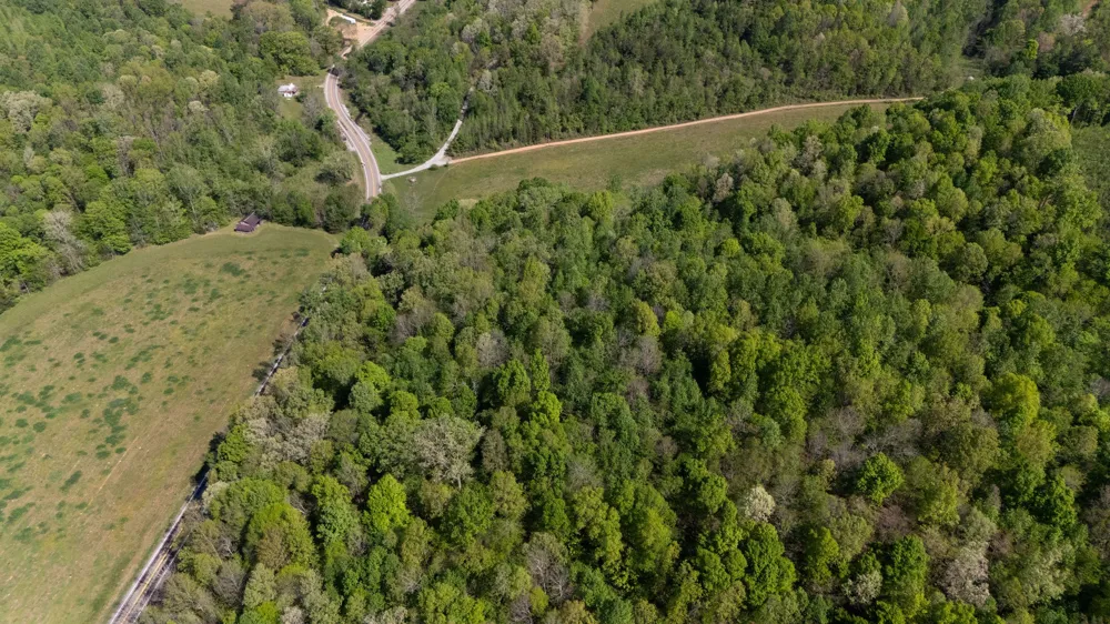 3795 Wayland Springs Rd Iron City, TN 38463