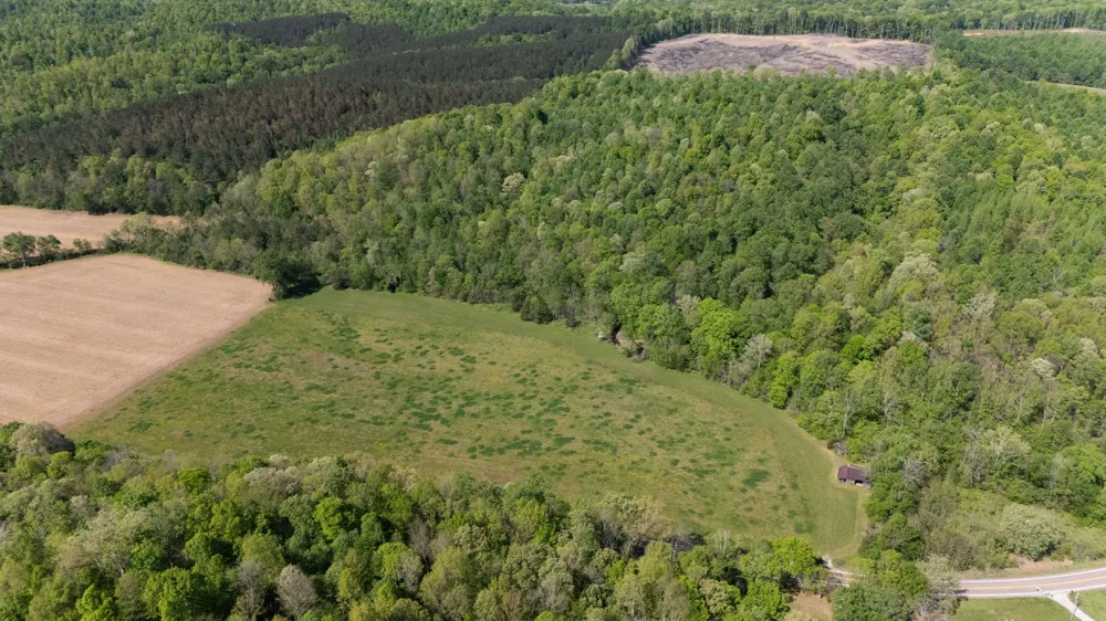 3795 Wayland Springs Rd Iron City, TN 38463