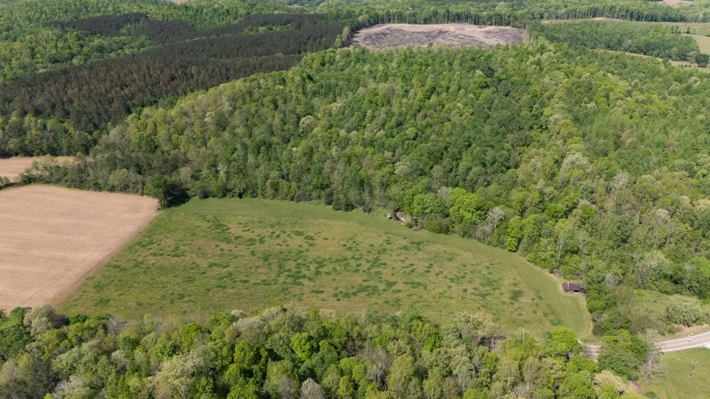 3795 Wayland Springs Rd Iron City, TN 38463