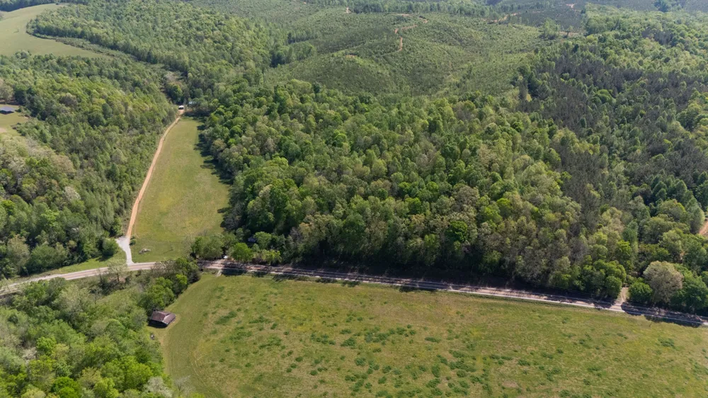3795 Wayland Springs Rd Iron City, TN 38463