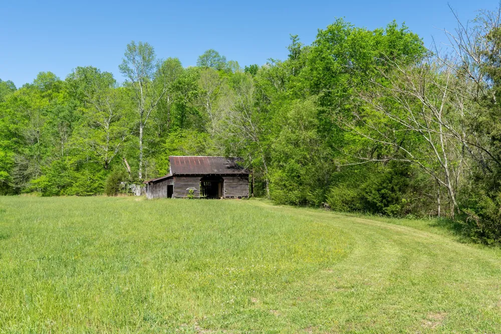 3795 Wayland Springs Rd Iron City, TN 38463