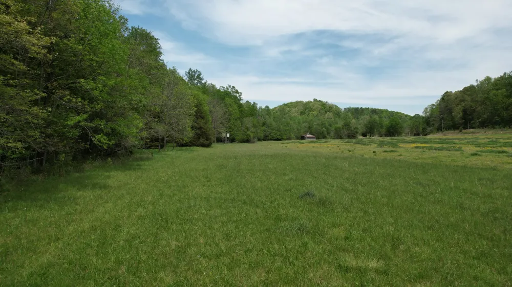 3795 Wayland Springs Rd Iron City, TN 38463