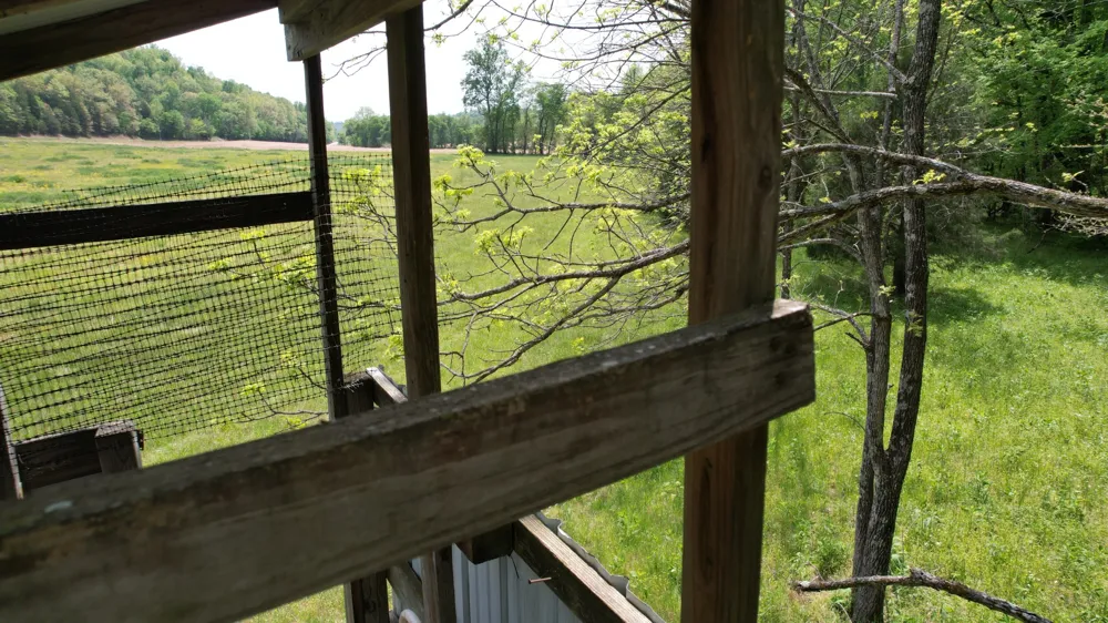 3795 Wayland Springs Rd Iron City, TN 38463