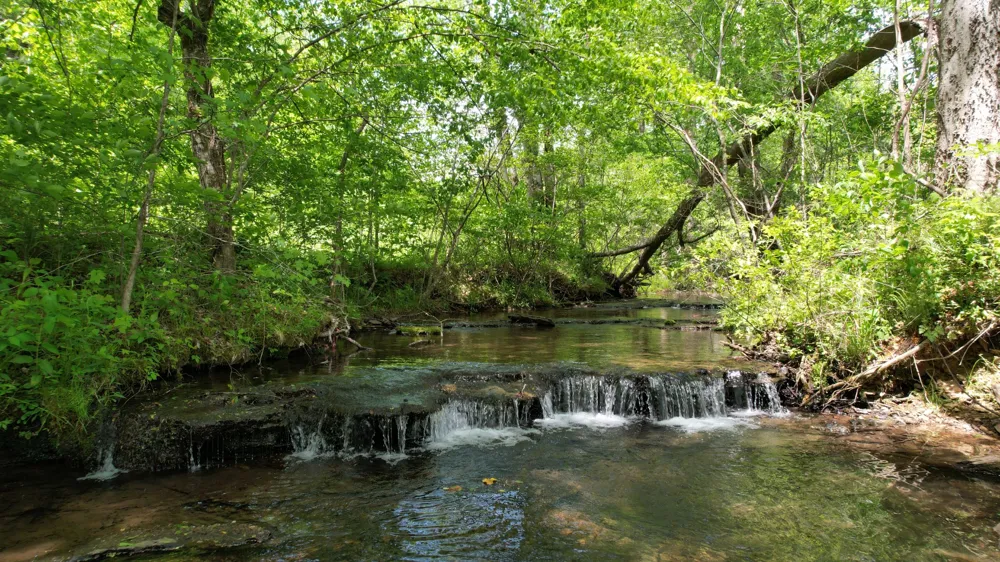 3795 Wayland Springs Rd Iron City, TN 38463