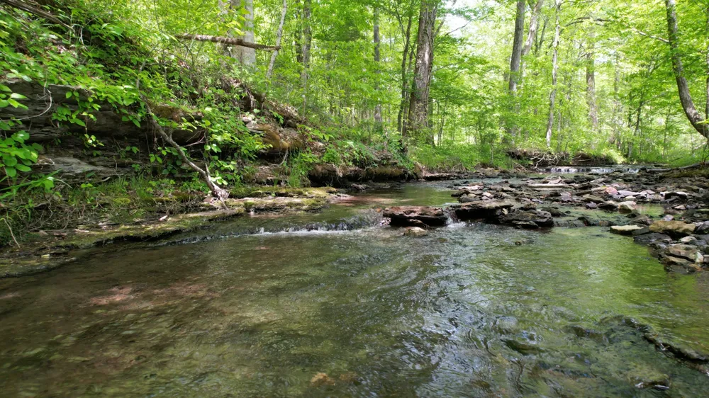 3795 Wayland Springs Rd Iron City, TN 38463