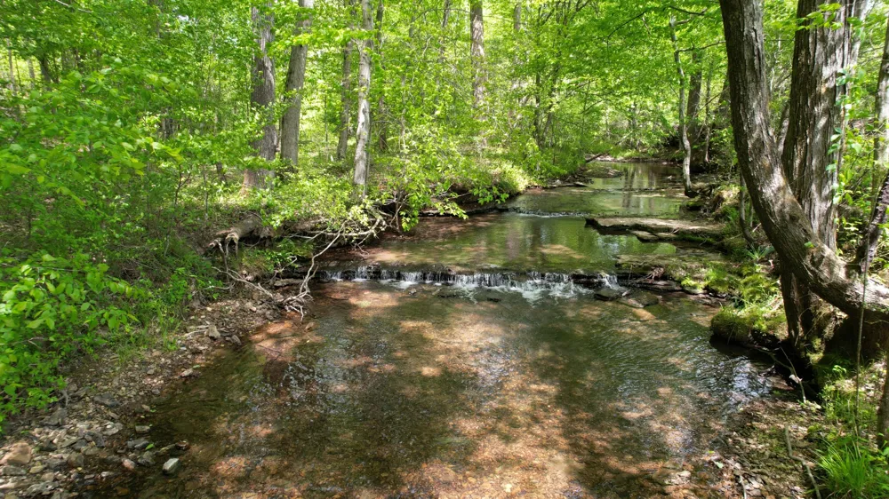 3795 Wayland Springs Rd Iron City, TN 38463