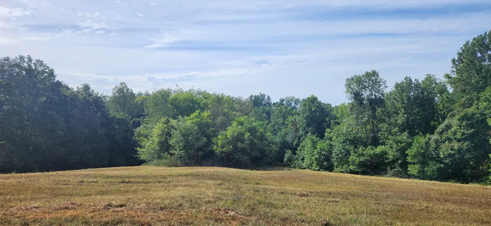 5849 Catholic Church Rd Cedar Hill, TN 37032