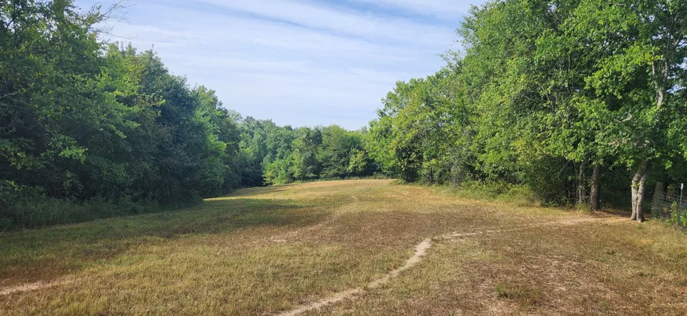 5849 Catholic Church Rd Cedar Hill, TN 37032