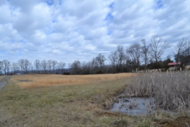 127 Rushing Springs Rd Monterey, TN 38574
