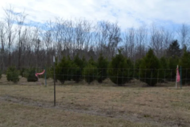 127 Rushing Springs Rd Monterey, TN 38574