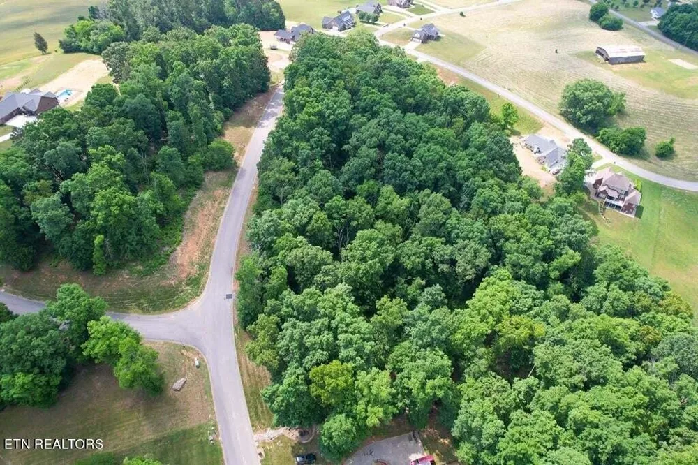 1955 Turner Landing Rd Russellville, TN 37860