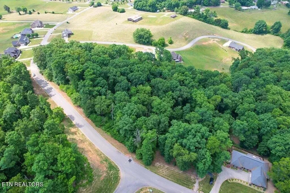 1955 Turner Landing Rd Russellville, TN 37860
