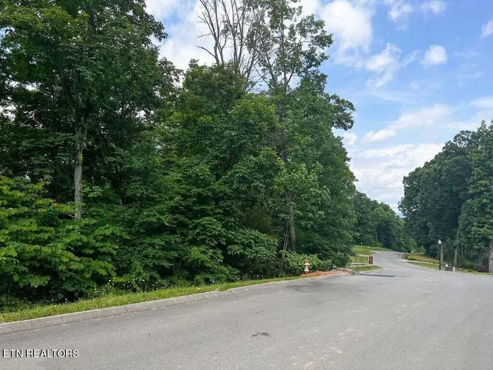 1955 Turner Landing Rd Russellville, TN 37860