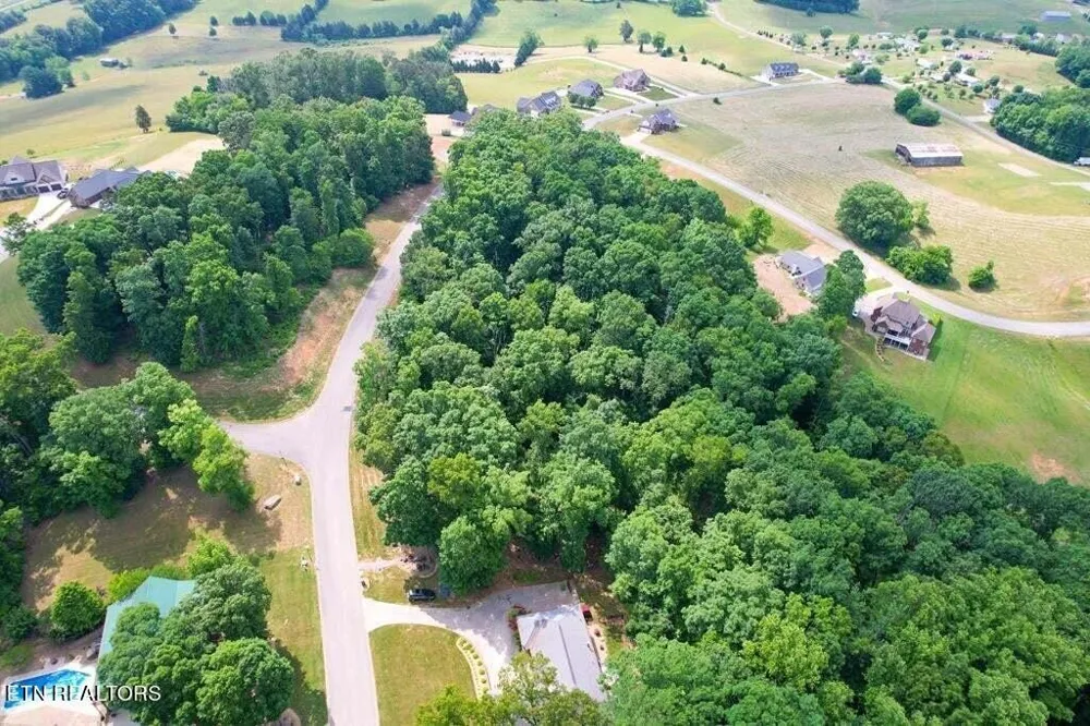 1955 Turner Landing Rd Russellville, TN 37860