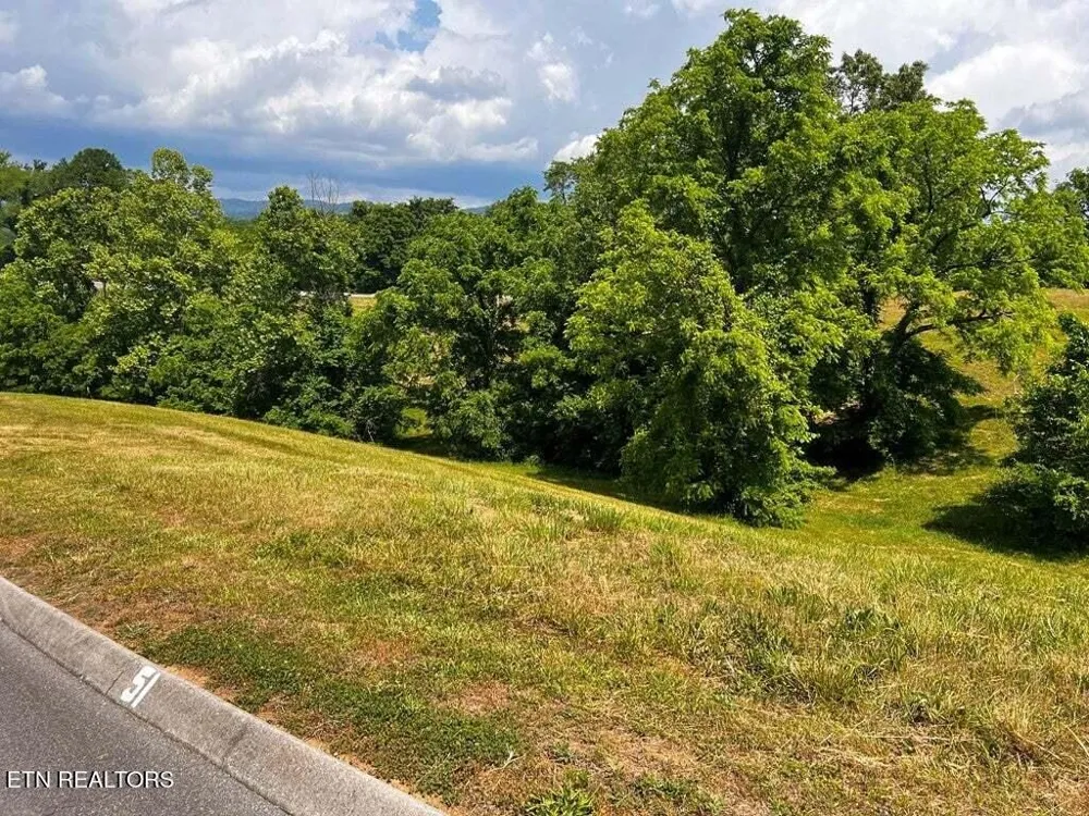 6377 Coves Edge Tr Russellville, TN 37860