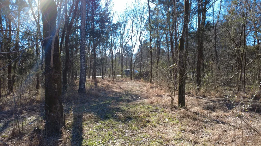 0 Carters Creek Pike Columbia, TN 38401
